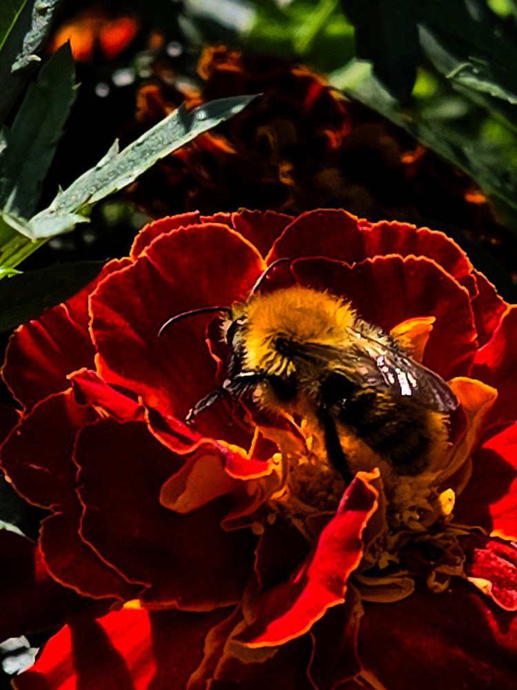 Photograph by Ольга Дёмина