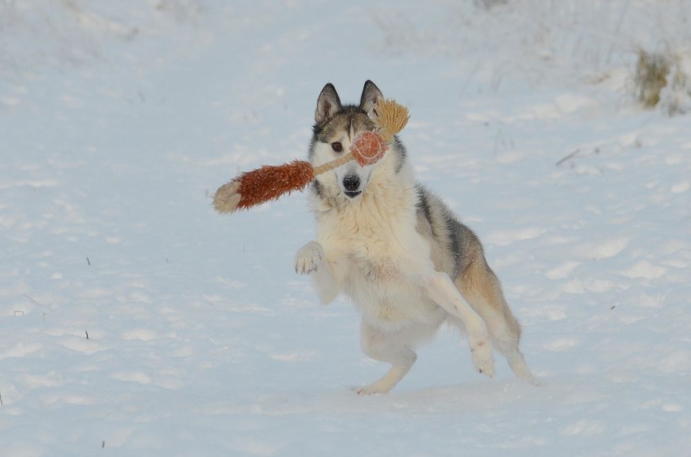 Photograph by Галина Катанова