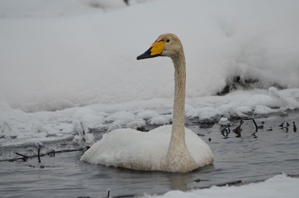 Photograph by Галина Катанова