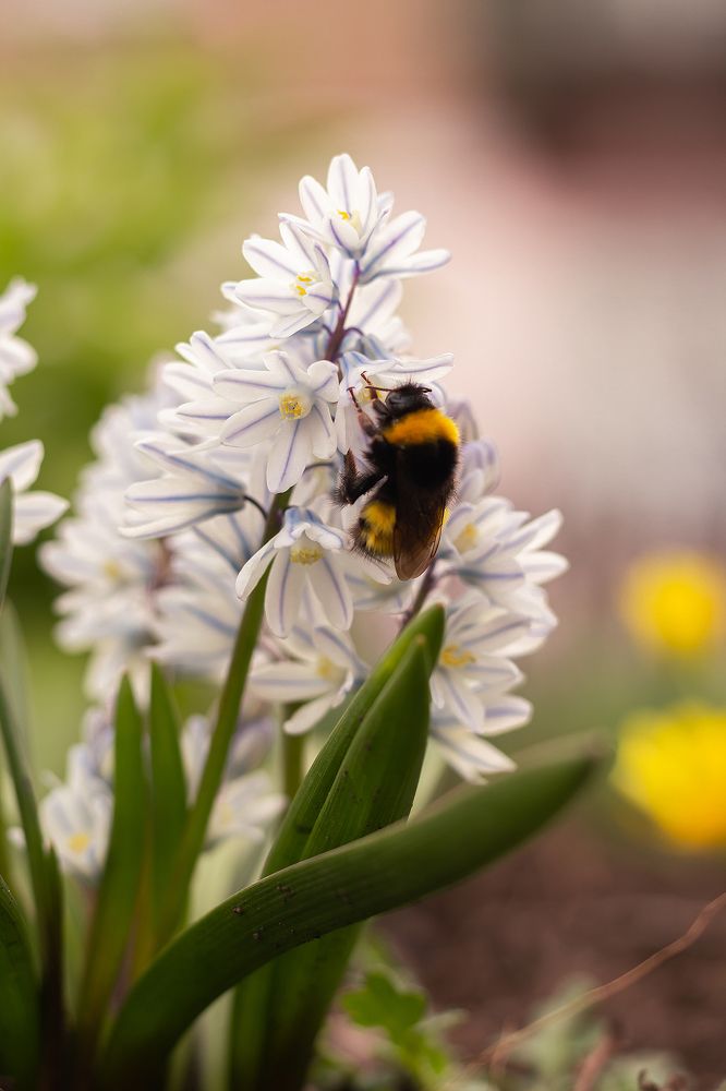 Photograph by Алексей Морозов