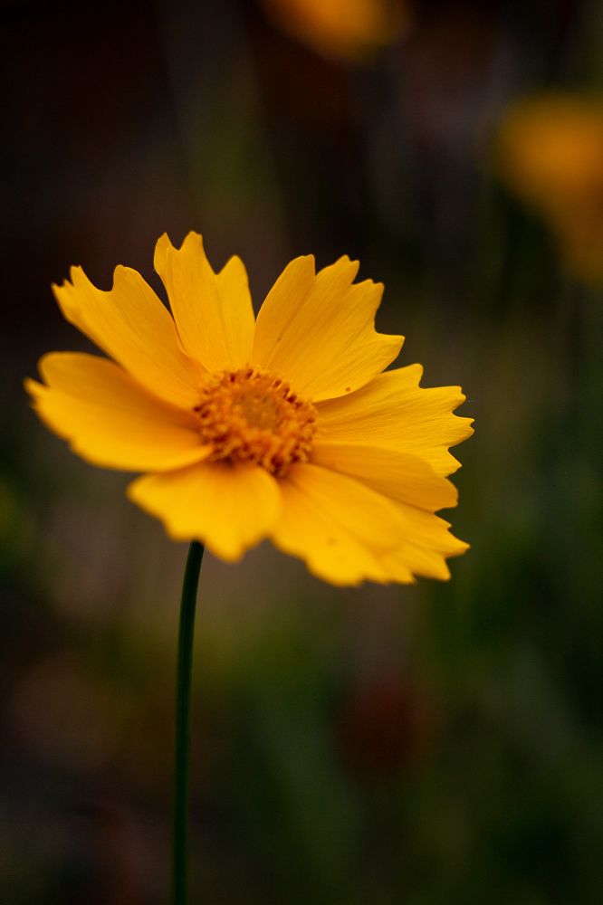 Photograph by Алексей Морозов