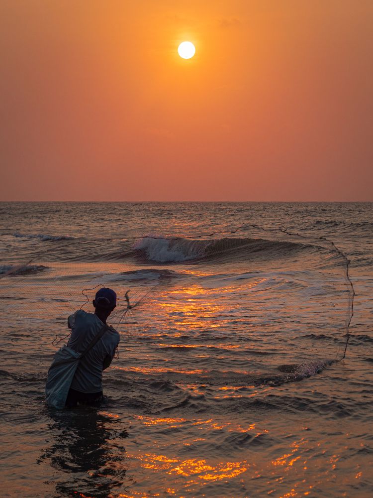 Фотография автора Camilo Rojas