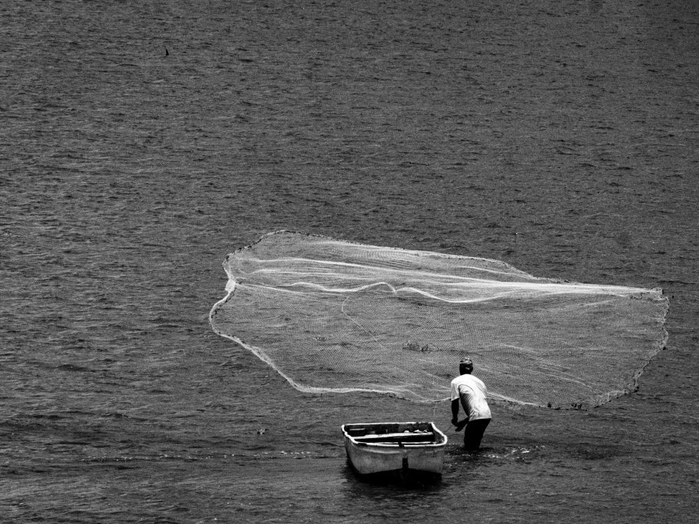 Фотография автора Camilo Rojas