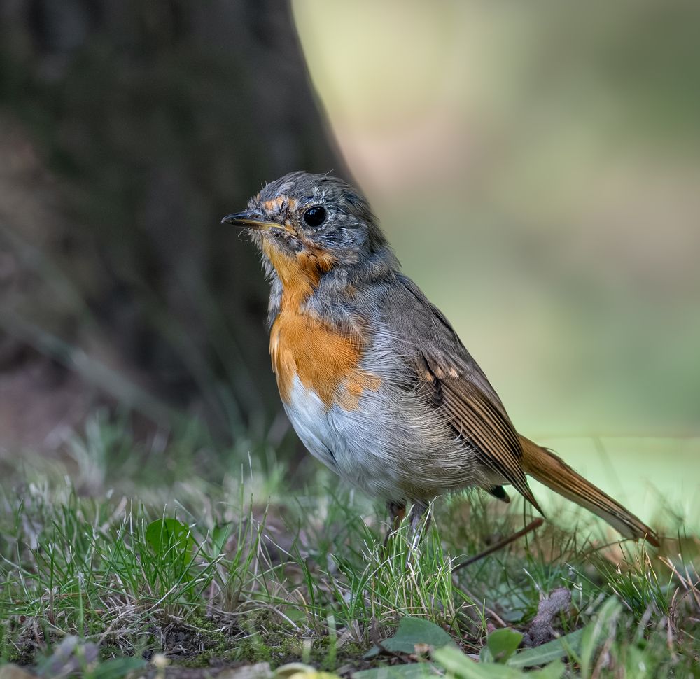 Photograph by Курлянцев Алексей