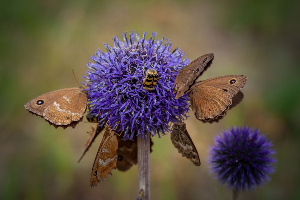 Photograph by Денис Дорошенко