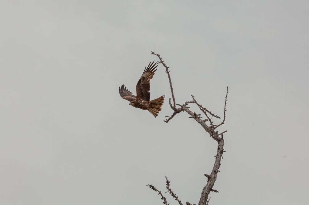 Photograph by Денис Дорошенко