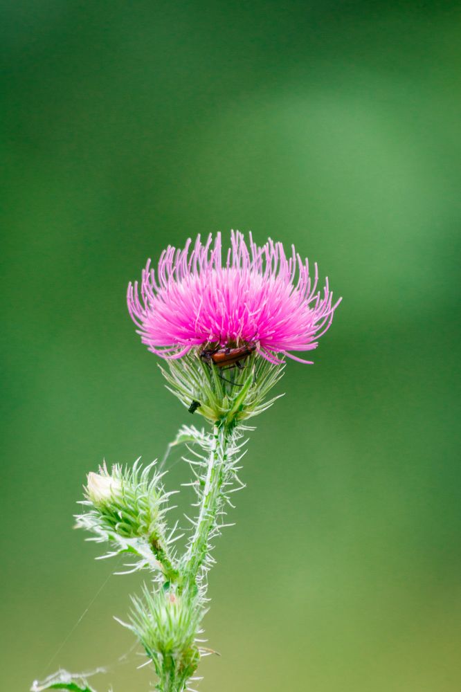 Photograph by Дмитрий Тимин