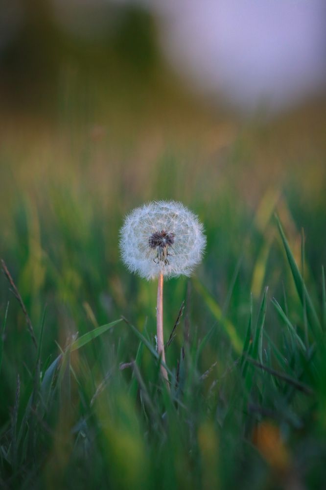 Photograph by Дмитрий Тимин