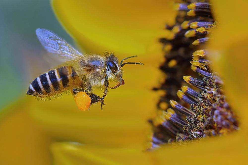 Photograph by Li Chen-You