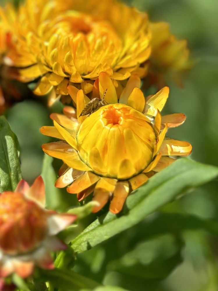 Photograph by Титаренко Людмила