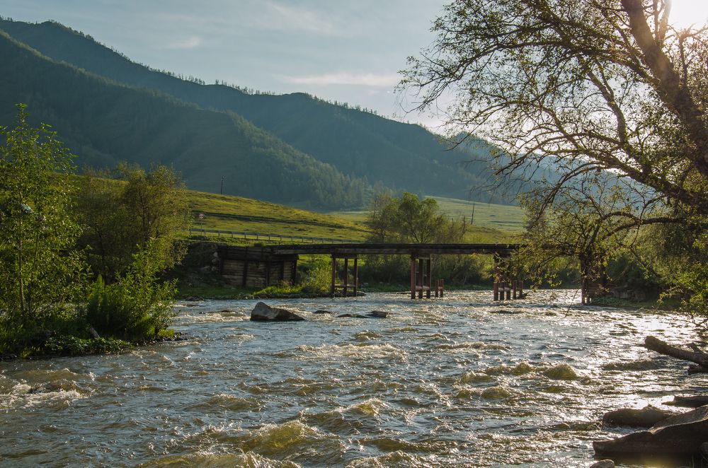 Photograph by Людмила Зяблова