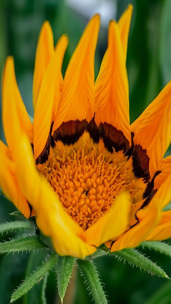 Photograph by Светлана Хамидулина