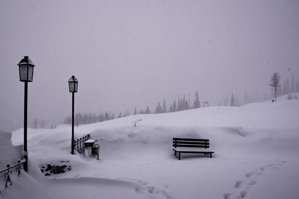 Фотография автора Анатолий Мацеля