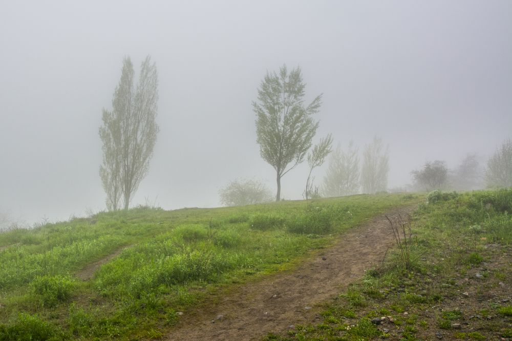 Фотография автора Анатолий Мацеля