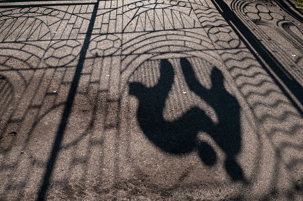 Photograph by Николай Пак