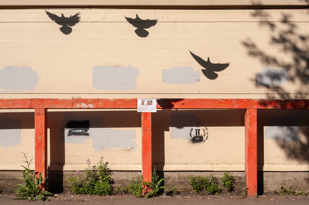 Photograph by Николай Пак