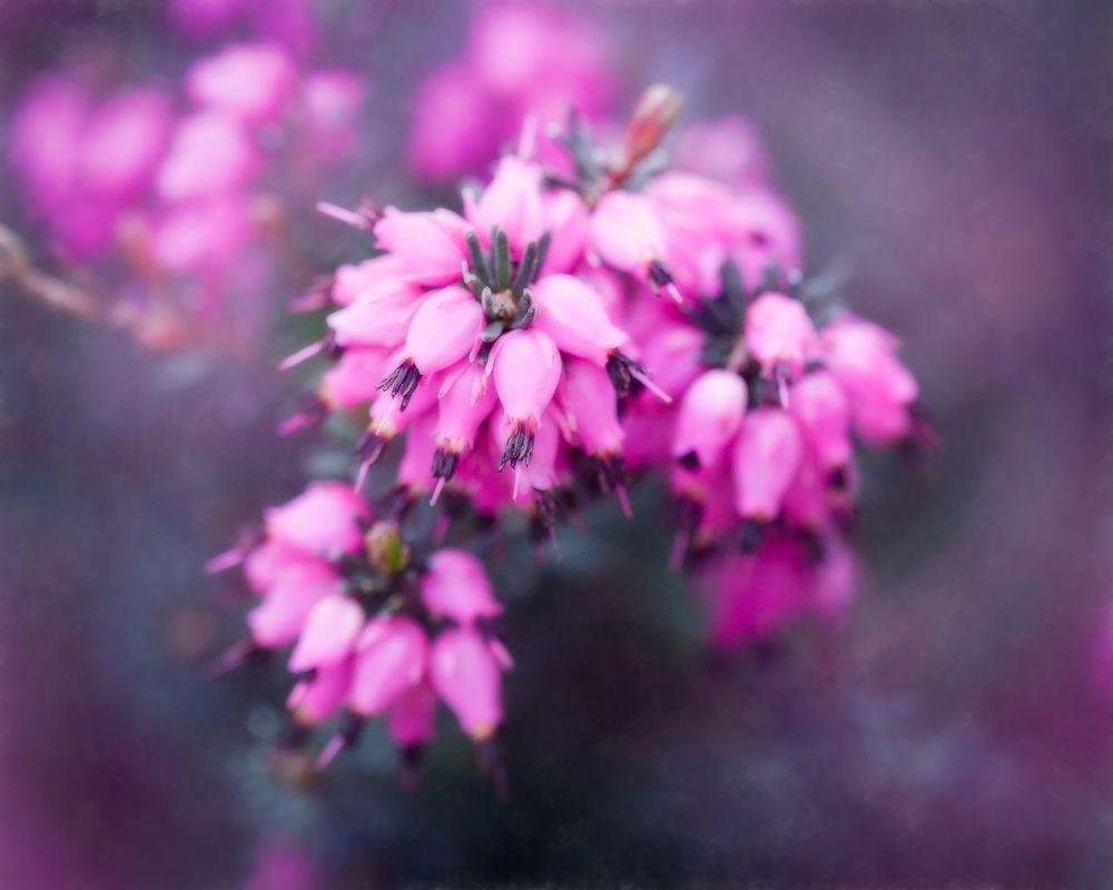 Photograph by Dmitry Ishniyazov