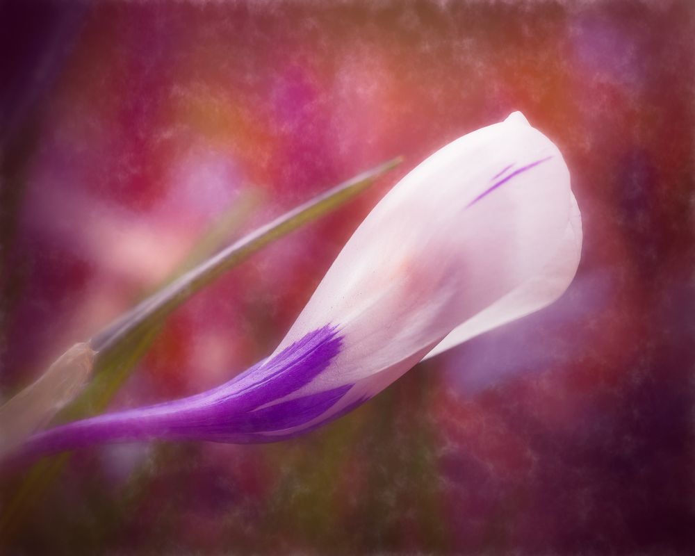 Photograph by Dmitry Ishniyazov