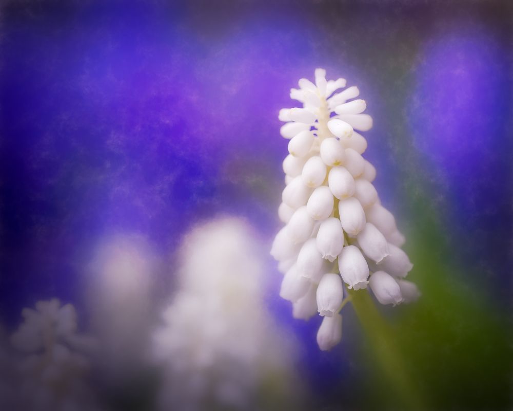 Photograph by Dmitry Ishniyazov