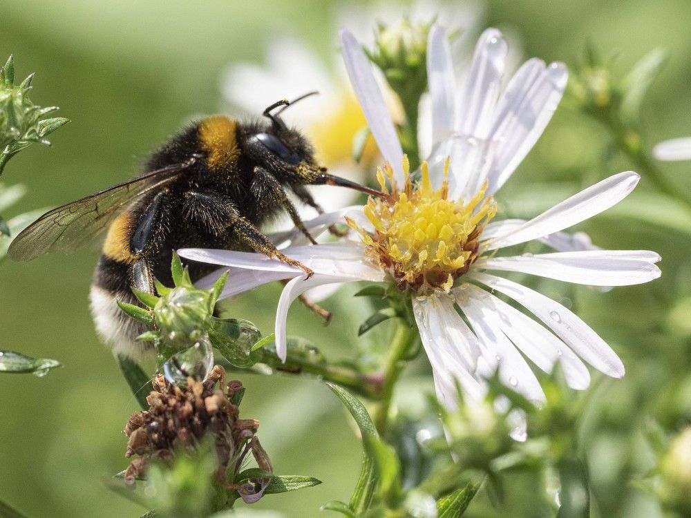 Photograph by Борис Полтавец