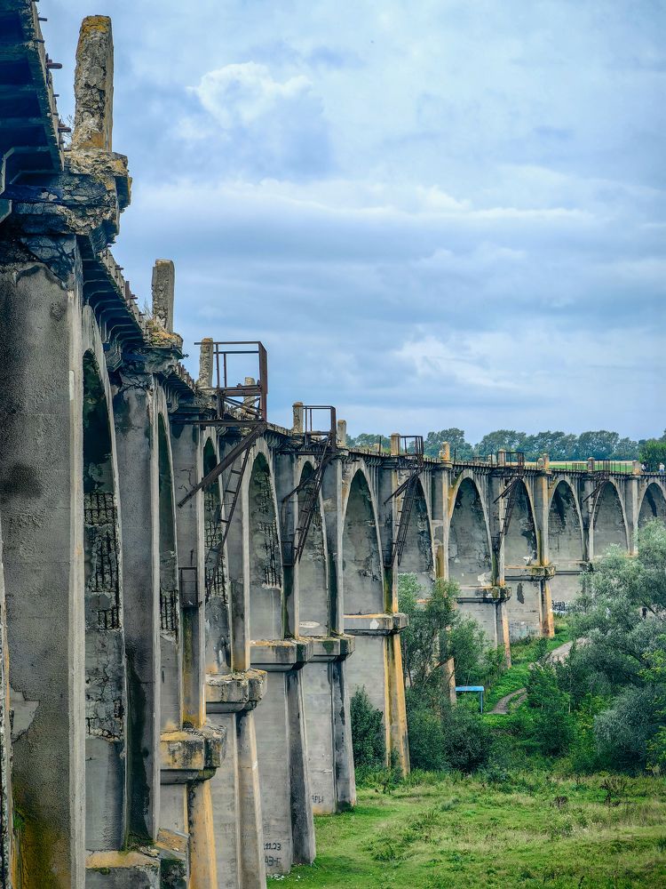 Photograph by Игорь Сапронов