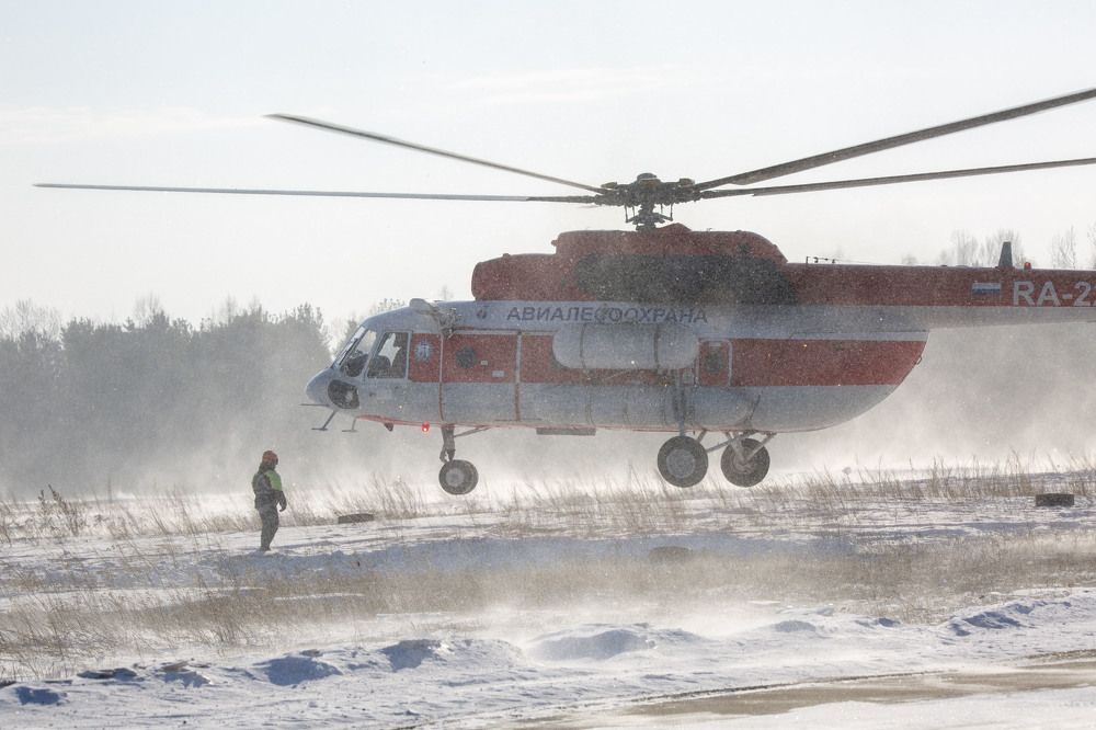 Photograph by Игорь Сапронов