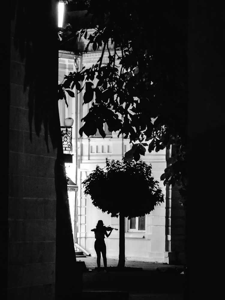 Photograph by Елена Чиркова