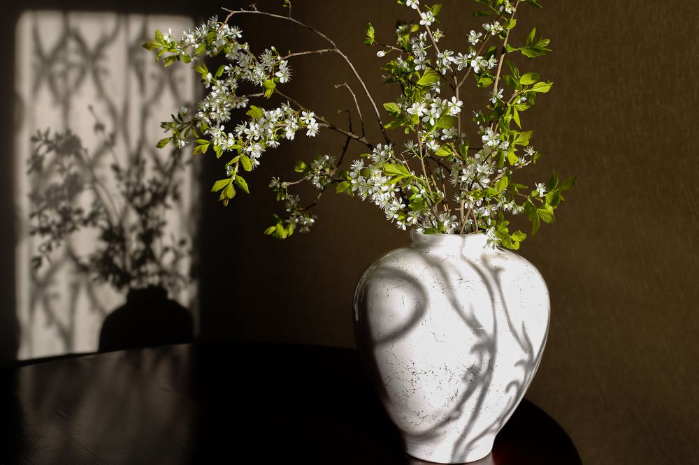 Photograph by Елена Буканина