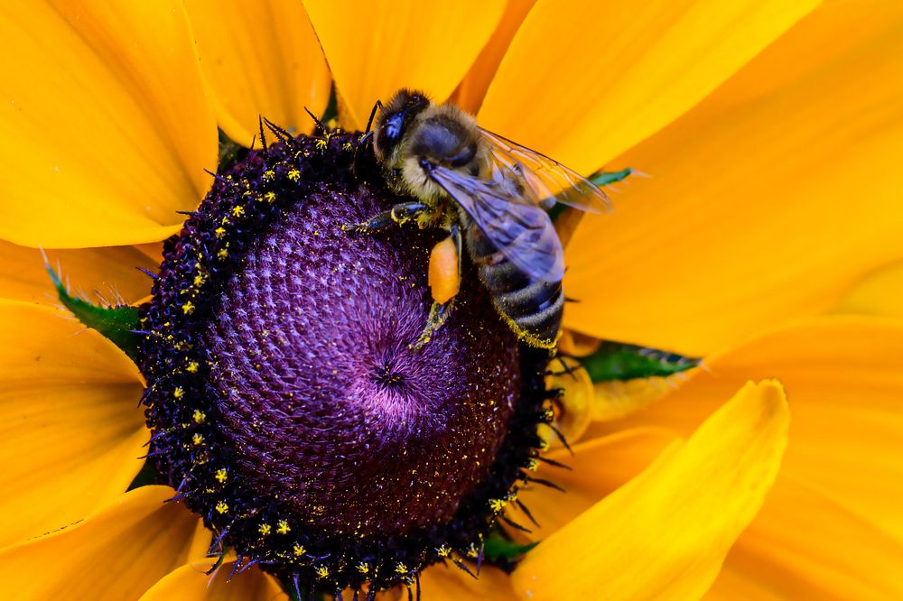 Photograph by Евгений Сорокин