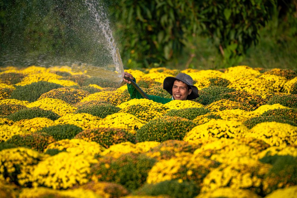 Photograph by Tran Phuong