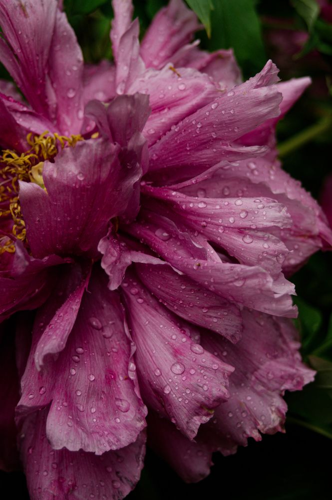 Photograph by Карина Заводчикова