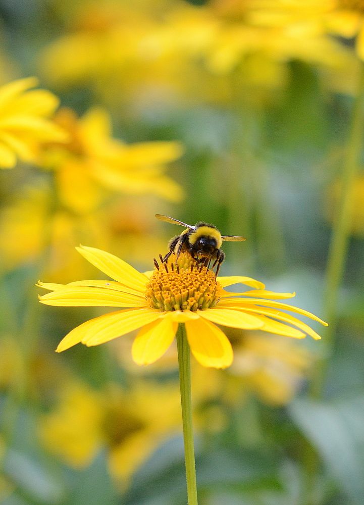 Photograph by Алексей Volg