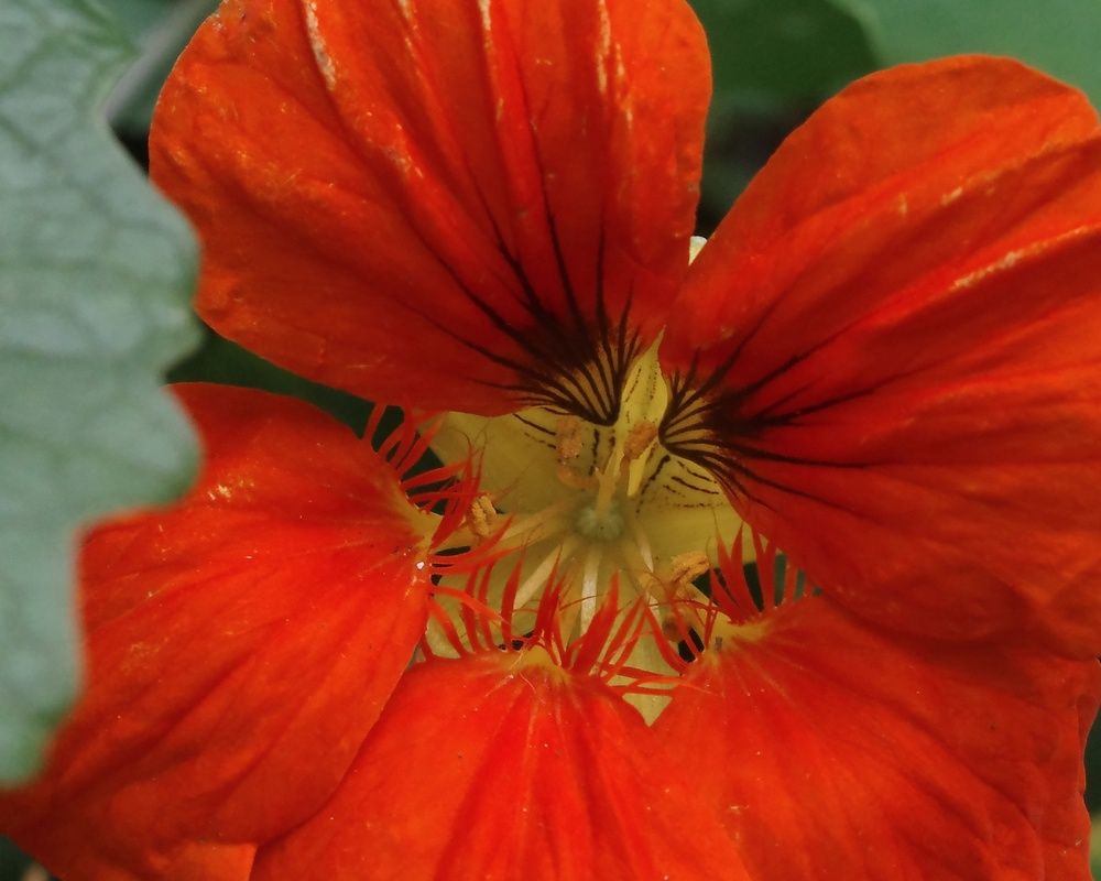 Photograph by Наталья Сафронова