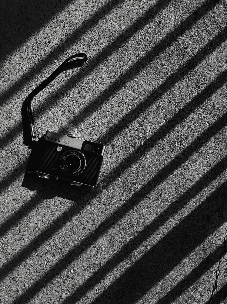 Photograph by Ksenija Bartoško