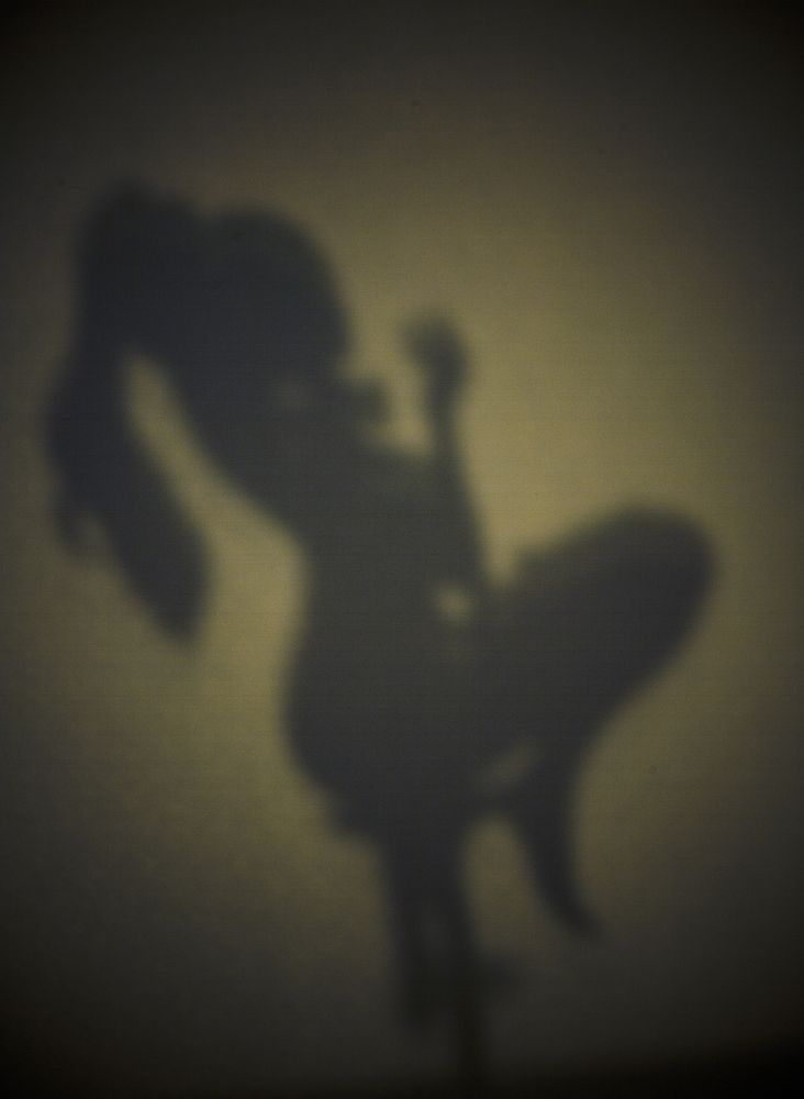 Photograph by Панюшкин Андрей