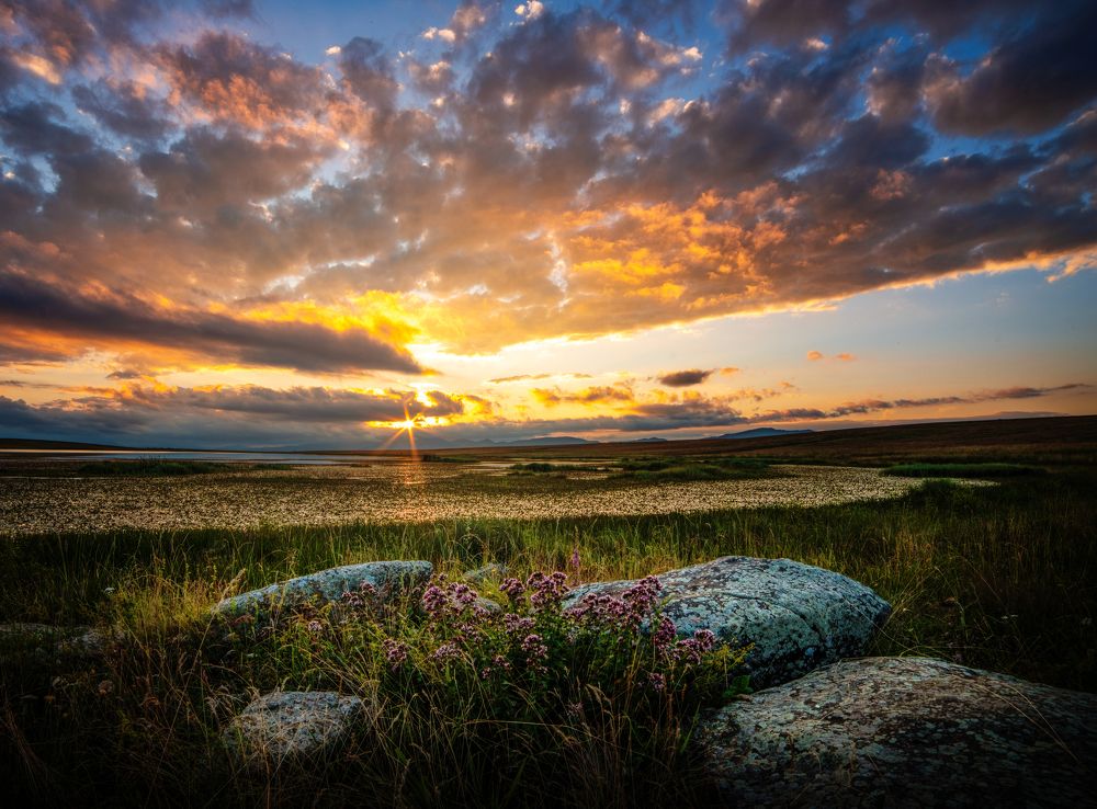 Photograph by Saba Gloveli