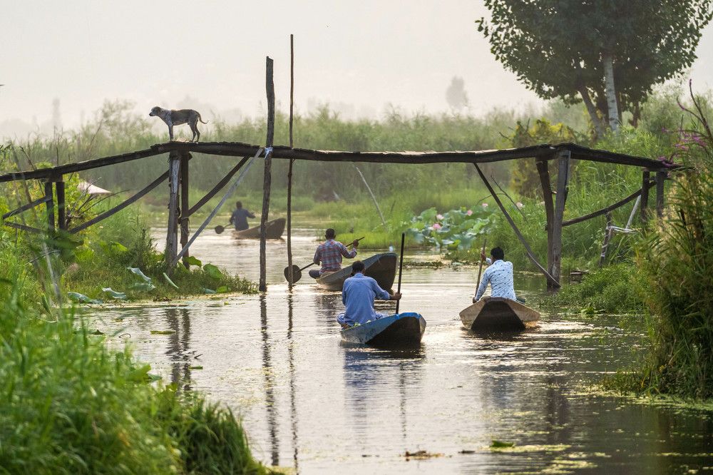 Photograph by SAMER.HUSSEINI