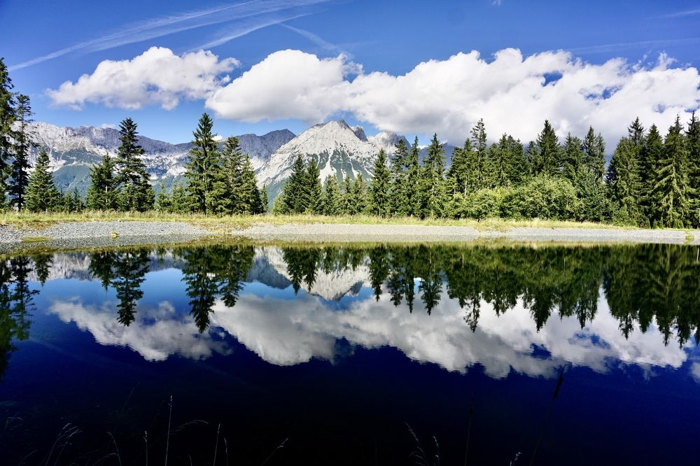 Фотография автора Liudmila Kiermeier
