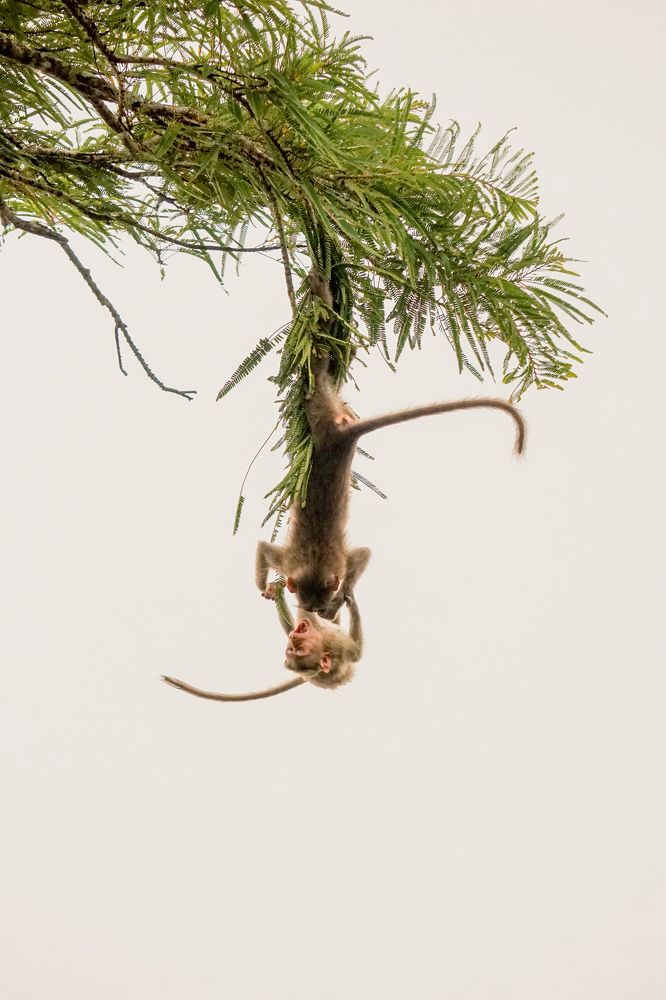 Photograph by AKHIL VU