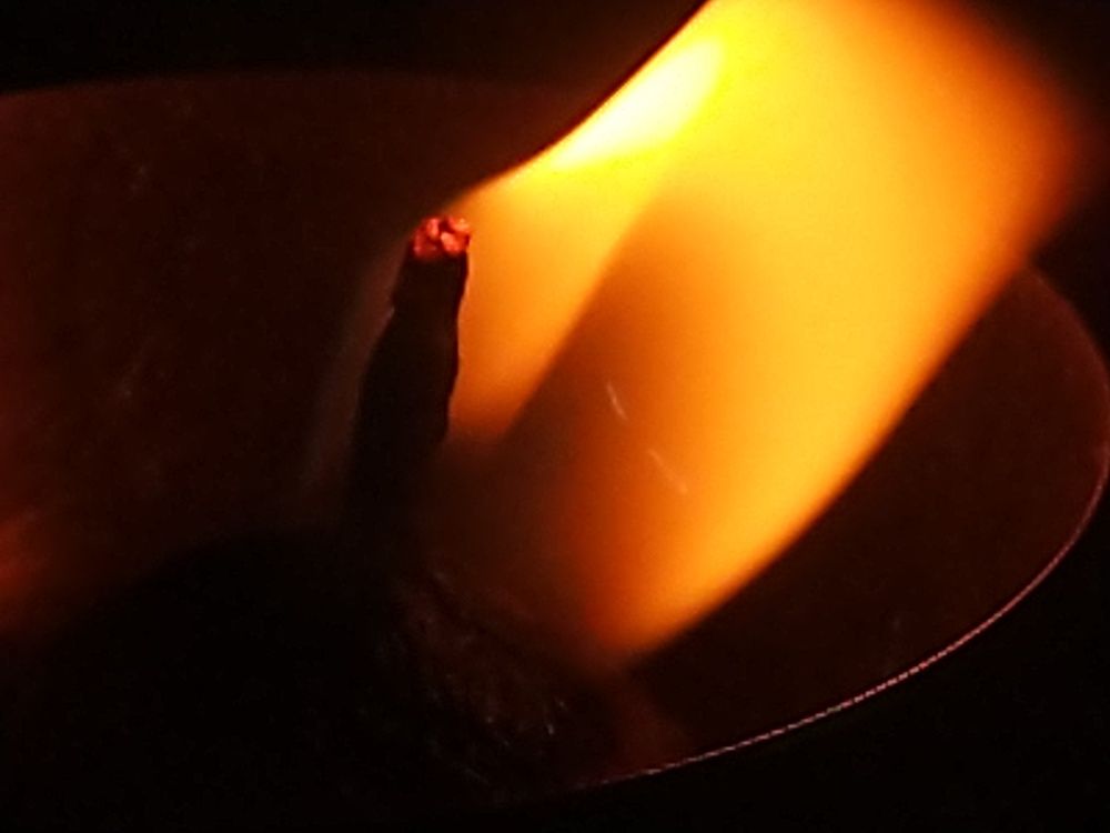 Photo #10954991