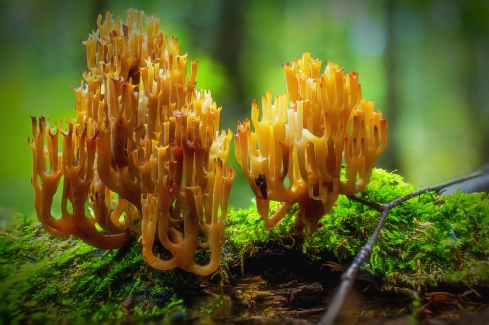 Photograph by Кокорин Алексей