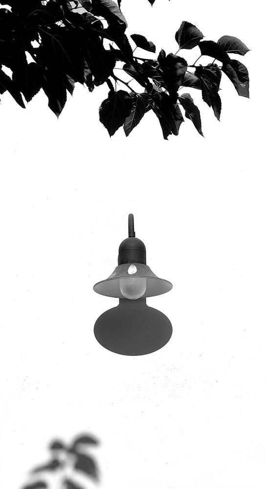 Photograph by esti lahat