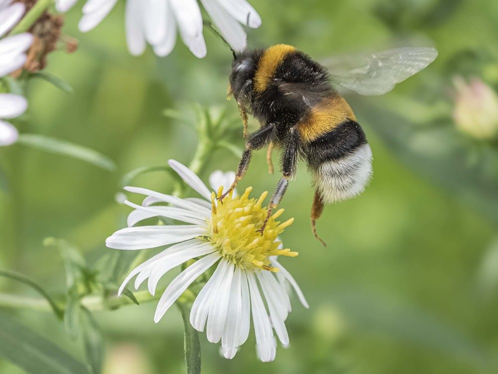 Photograph by Борис Полтавец