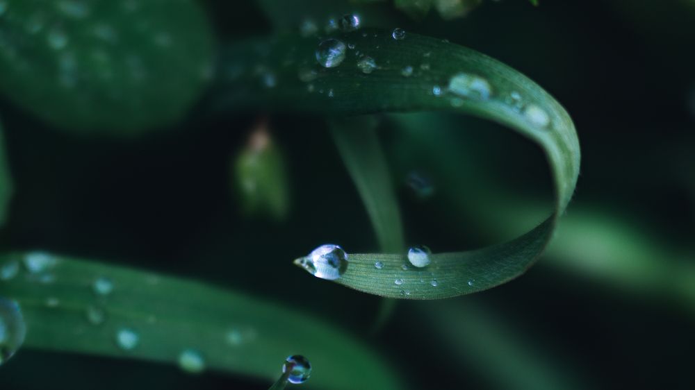 Photograph by Игорь Гордиенко