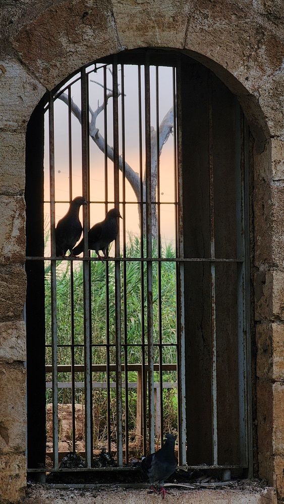 Photograph by esti lahat