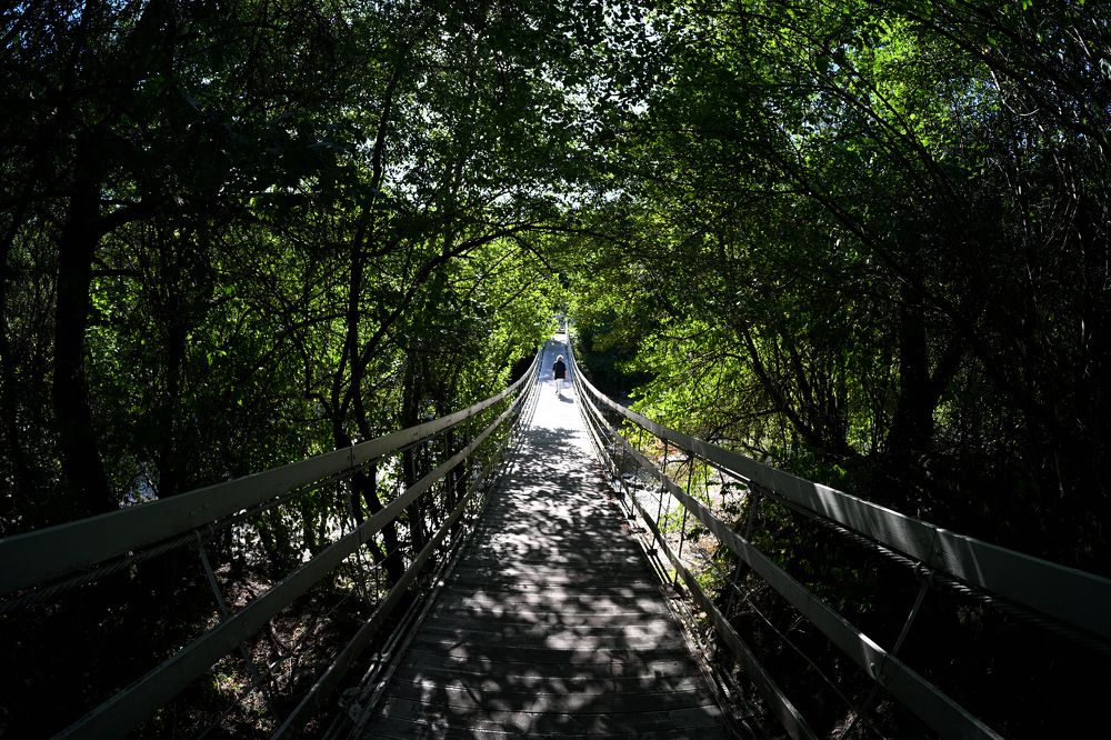 Фотография автора Дмитрий Referee