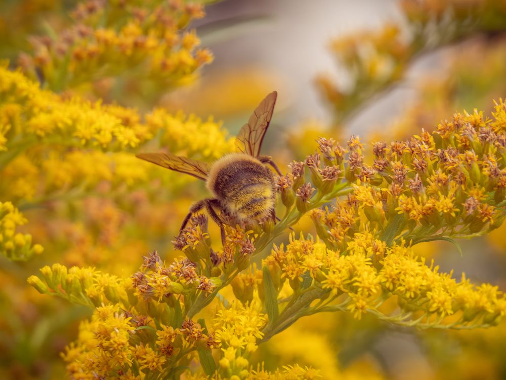 Photograph by Алексей Акулин