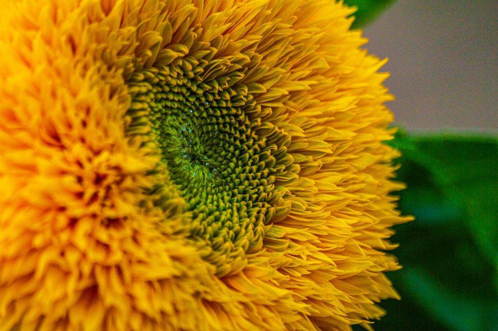 Photograph by Кокорин Алексей