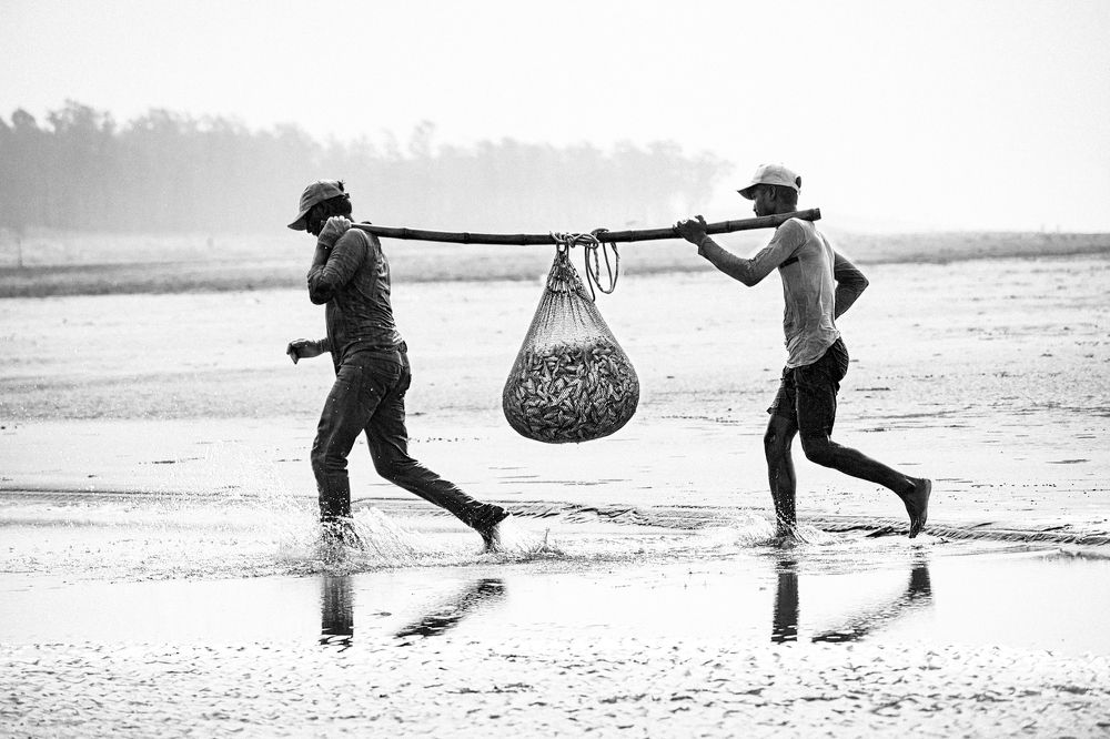 Photograph by Asamanj Maiti