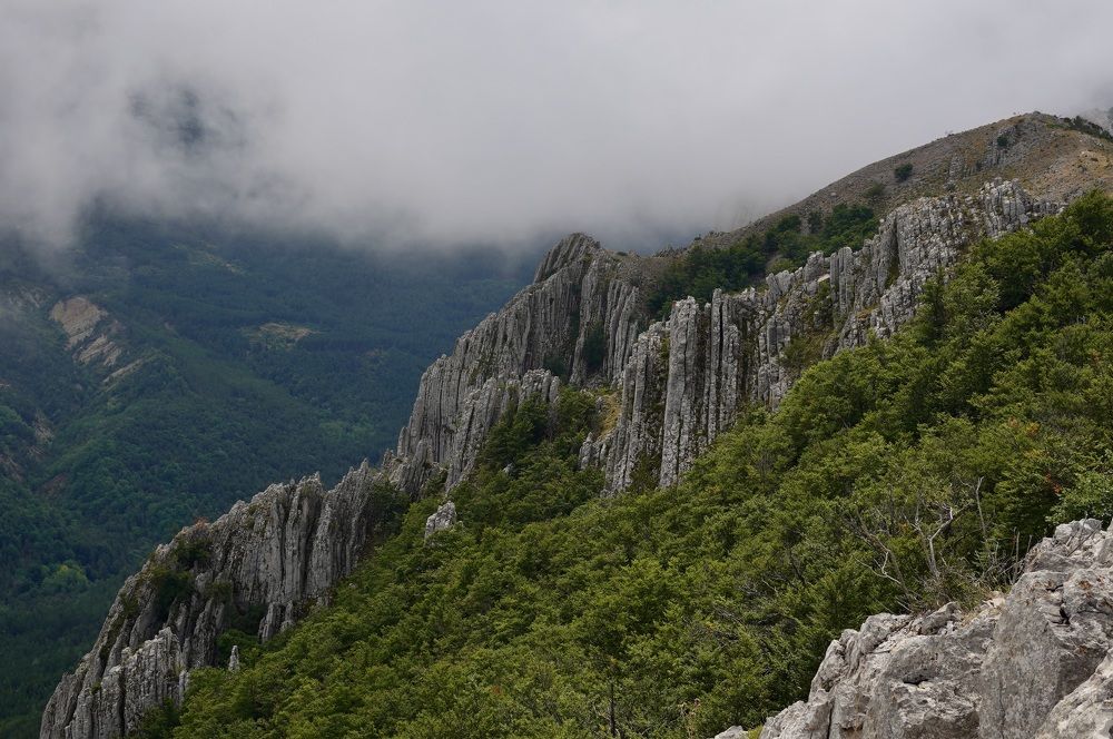 Photograph by Marina Odintsova